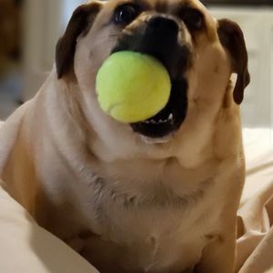 Meet your Posher, Nicolette